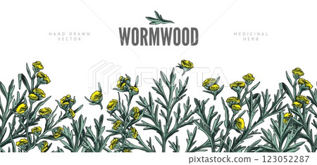 Wormwood plant sketch seamless border vector design, hand drawn Artemisia flowers and leaves, medical essential herb 123052287