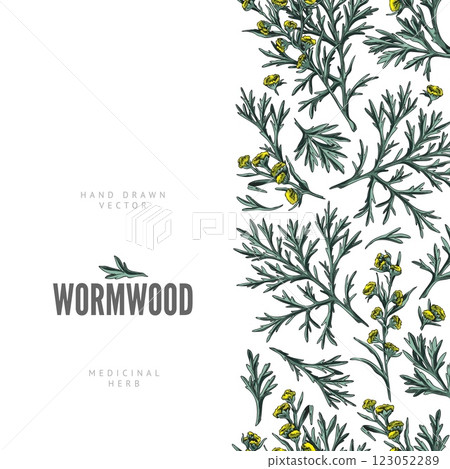 Wormwood plant sketch seamless border, vector hand drawn flowers and leaves, medical plant Artemisia essential oil herb Wormwood plant sketch seamless border, vector hand drawn flowers and leaves, medical plant Artemisia essential oil herb 123052289