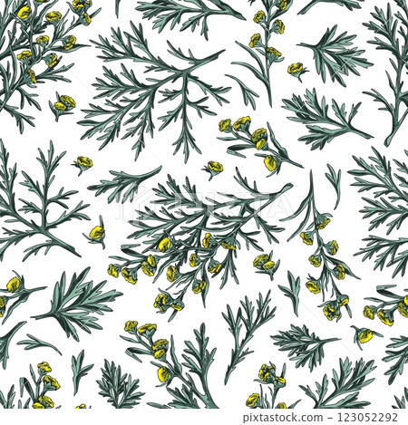 Wormwood plant seamless pattern vector sketch, hand drawn flowers and leaves, medical plant Artemisia essential oil herb Wormwood plant seamless pattern vector sketch, hand drawn flowers and leaves, medical plant Artemisia essential oil herb 123052292