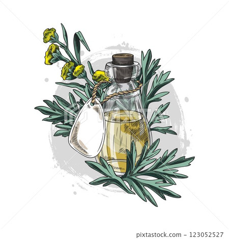 Wormwood plant and bottle of essential oil sketch, hand drawn sagebrush flowers leaves, medical Artemisia herbal product 123052527