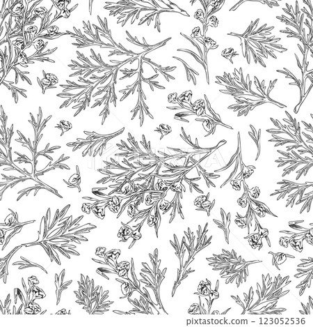 Wormwood plant seamless pattern engraved sketch, vector hand drawn flowers and leaves, medical plant Artemisia herb 123052536