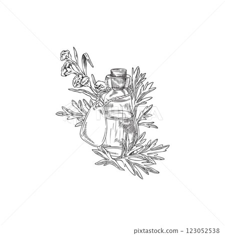 Wormwood plant and bottle of essential oil engraved sketch, hand drawn sagebrush flowers leaves, Artemisia herb product Wormwood plant and bottle of essential oil engraved sketch, hand drawn sagebrush flowers leaves, Artemisia herb product 123052538