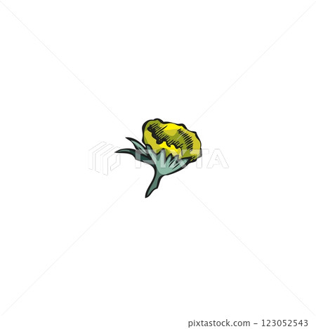 Wormwood yellow flower sketch vector icon, hand drawn medical wormwood blossom plant, Artemisia sagebrush essential herb 123052543