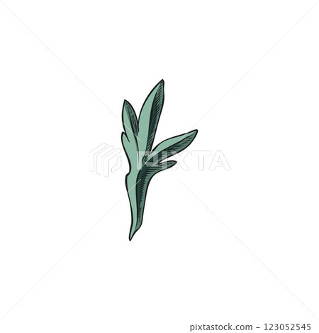 Vector aquamarine illustration of wormwood leaf outline sketch, hand drawn. Vector aquamarine illustration of wormwood leaf outline sketch, hand drawn. 123052545