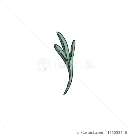 Wormwood leaf sketch, hand drawn sagebrush essential herb, wild flower herbarium Artemisia botanical vector illustration 123052546