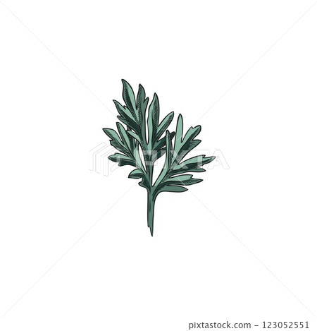 Wormwood leaf sketch vector icon, hand drawn sagebrush essential herb, wild flower herbarium, Artemisia medical plant Wormwood leaf sketch vector icon, hand drawn sagebrush essential herb, wild flower herbarium, Artemisia medical plant 123052551