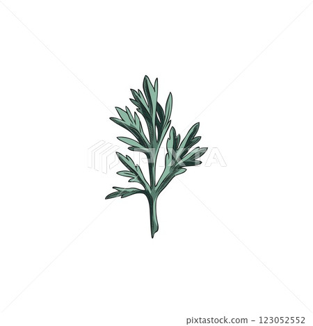 Wormwood leaf sketch, hand drawn wild sagebrush essential herb, Artemisia medicinal plant foliage vector illustration Wormwood leaf sketch, hand drawn wild sagebrush essential herb, Artemisia medicinal plant foliage vector illustration 123052552