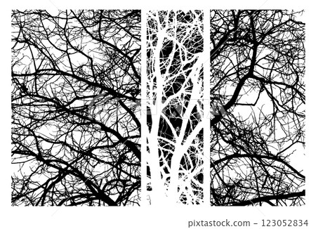 Monochrome silhouette of tree branches. hand drawing. Not AI Vector illustration Monochrome silhouette of tree branches. hand drawing. Not AI Vector illustration 123052834