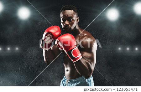 Young confident african american boxer standing in pose and ready to fight, stadium background, copy space 123053471