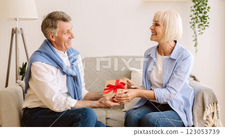 Gift with love. Mature man giving present to wife, congratulating with birthday Gift with love. Mature man giving present to wife, congratulating with birthday 123053739