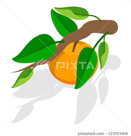 3D Isometric Flat Set of Apricots and Elements. Item 3 3D Isometric Flat Set of Apricots and Elements. Item 3 123053806