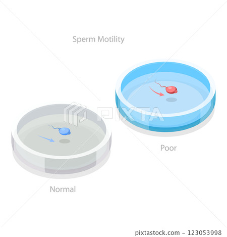 3D Isometric Flat  Illustration of Male Fertility. Item 2 123053998