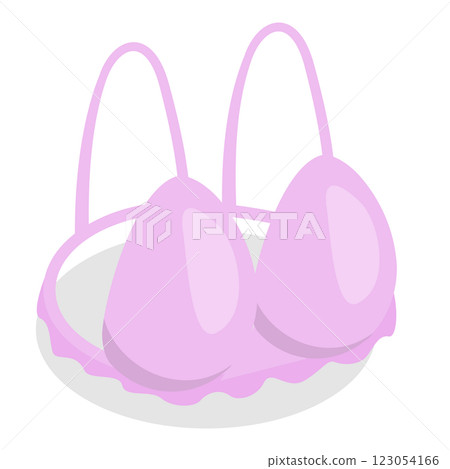 3D Isometric Flat Set of Bras. Item 3 3D Isometric Flat Set of Bras. Item 3 123054166