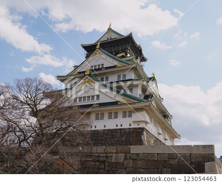 二月的大阪城 123054463