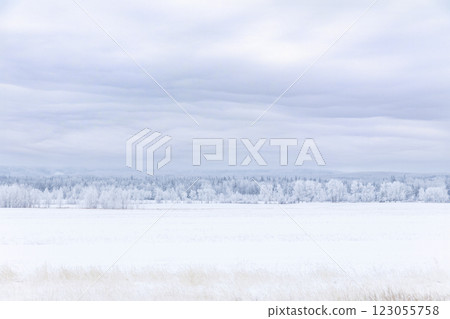 White winter landscape in prairies with field and trees in snow. 123055758