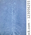 細小裂痕的冰柱特寫，垂直方向 123056255