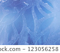 冰製物體的特寫 123056258