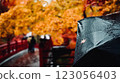 A couple walking in autumn leaves 123056403