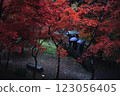 The approach to the shrine is decorated with autumn leaves 123056405