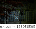 An old-fashioned building bathed in light 123056505