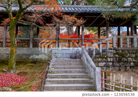 Autumn leaves at Tofukuji Temple, Higashiyama Ward, Kyoto City, Kyoto Prefecture Autumn leaves at Tofukuji Temple, Higashiyama Ward, Kyoto City, Kyoto Prefecture 123056536