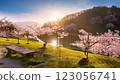 櫻花盛開，著名的櫻花景點，梅花，櫻花，花季，清晨，美麗的日出，春天的景色，感受日本 123056741