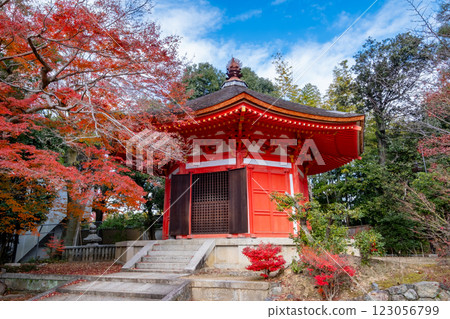 京都府京都市東山區愛染堂東福寺的紅葉 123056799