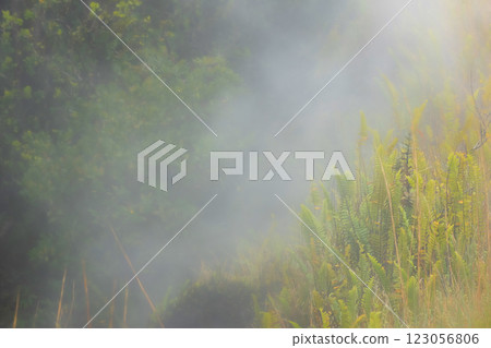 Volcano sulfur vents are steaming from under the grassy ground. Volcano sulfur vents are steaming from under the grassy ground. 123056806