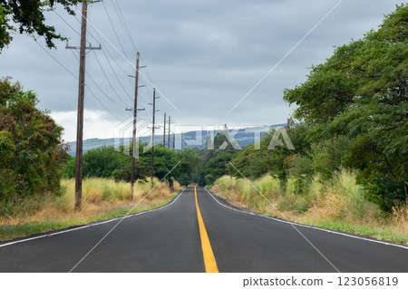 Asphalt highway with yellow line in tropical pacific forest. 123056819