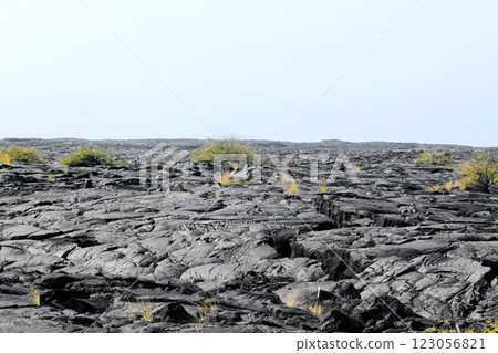 Volcanic landscape, black lava desert with bushes in Hawaii. Volcanic landscape, black lava desert with bushes in Hawaii. 123056821