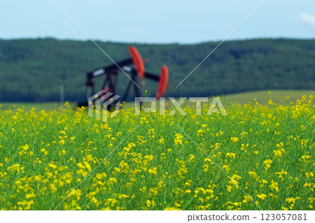 Beautiful rural landscape of blooming yellow canola field in the foreground and defocused pumpjacks on oil wells, hills with forests and blue sky on the background. Beautiful rural landscape of blooming yellow canola field in the foreground and defocused pumpjacks on oil wells, hills with forests and blue sky on the background. 123057081