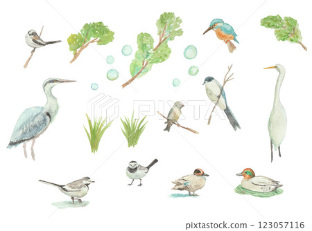 用水彩繪製的野生鳥類 用水彩繪製的野生鳥類 123057116