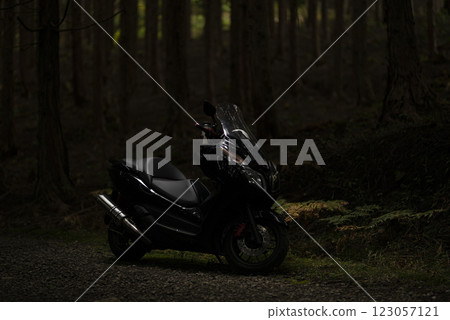 黑暗森林裡的腳踏車 123057121