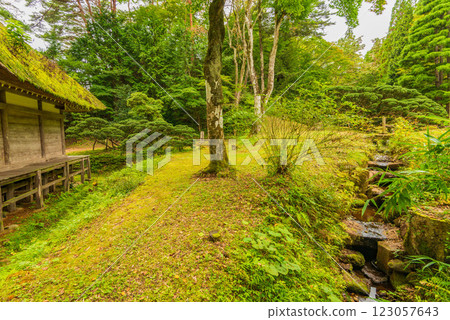 A path leading to a mossy back alley 123057643