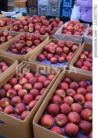 India_Scenery of a street vendor selling fruit India_Scenery of a street vendor selling fruit 123057792