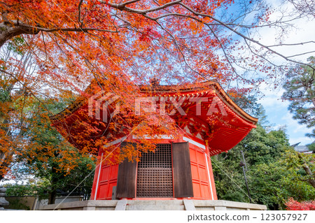 京都府京都市東山區愛染堂東福寺的紅葉 123057927