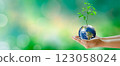 Hand holding plant on the world with sunny green grass bokeh background. Save clean planet, Save world and environment, Ecology, World Earth Day Concept. Elements furnished by NASA. 123058024