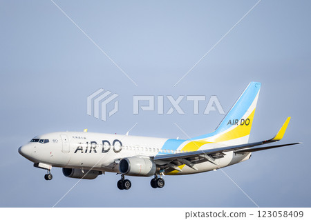 A jetliner landing at Sendai International Airport 123058409