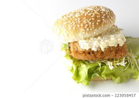 Tartar fish burger photographed on white background 123058457