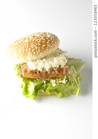 Tartar fish burger photographed on white background 123058465