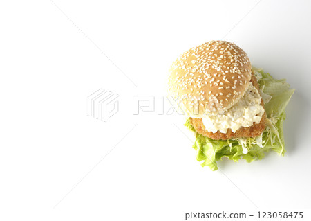 白色背景下拍攝的韃靼魚漢堡 白色背景下拍攝的韃靼魚漢堡 123058475