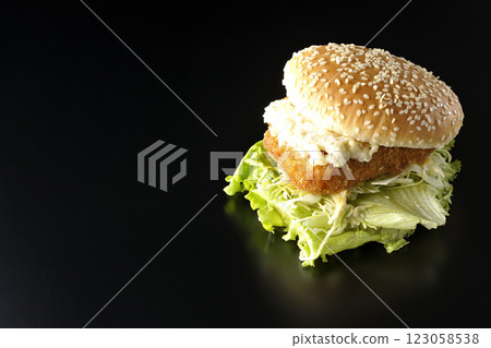 Tartar fish burger photographed against a black background 123058538