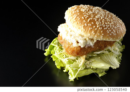 Tartar fish burger photographed against a black background 123058540