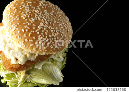 Tartar fish burger photographed against a black background 123058568