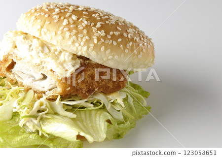 韃靼魚漢堡在白色背景上拍攝(顯示內部) 韃靼魚漢堡在白色背景上拍攝(顯示內部) 123058651