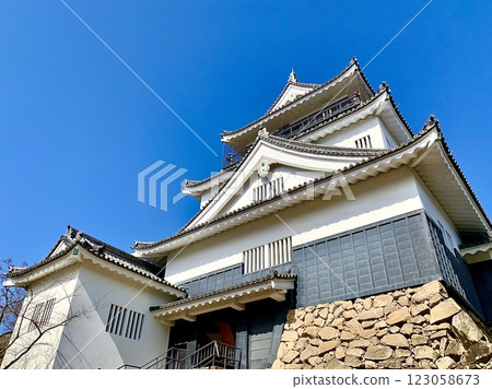 仰望藍天下的岡崎城樓（岡崎城公園/愛知縣岡崎市） 123058673