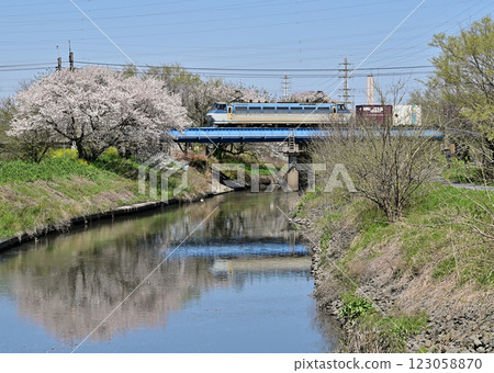 JR武藏野線EF66-126號電車，橫跨見沼稻田的芝川 123058870