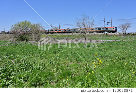 JR武藏野線E231系列穿過見沼稻田 123058871