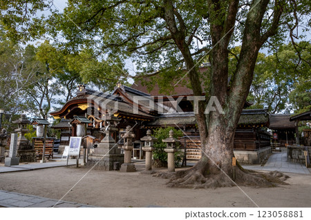 Fujimori Shrine, Main Hall, Fushimi Ward, Kyoto City, Kyoto Prefecture Fujimori Shrine, Main Hall, Fushimi Ward, Kyoto City, Kyoto Prefecture 123058881
