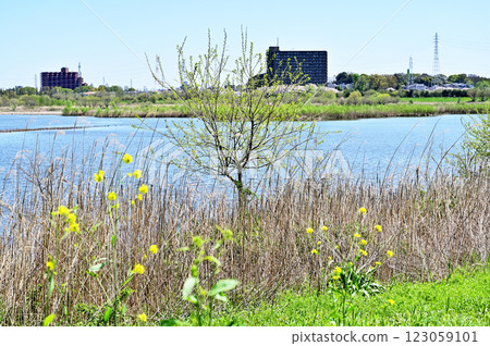 請參閱沼稻田及芝川第一調整池的防洪措施 123059101